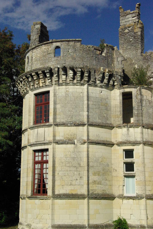 Château de Veuil Extérieur photo